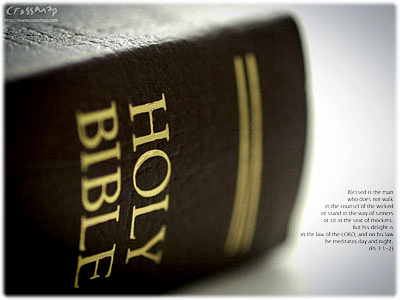 ecab1e0ab86c9705c3f927a603b49b41_1736231705_96.png